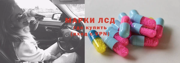 ГАЛЛЮЦИНОГЕННЫЕ ГРИБЫ Алзамай