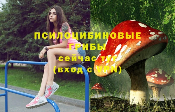 метадон Алексин