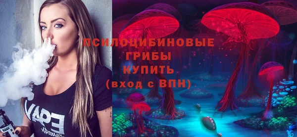 прущие грибы Алексеевка