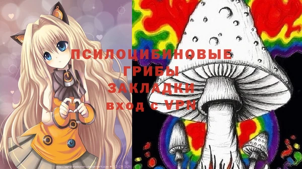 шишки Покачи